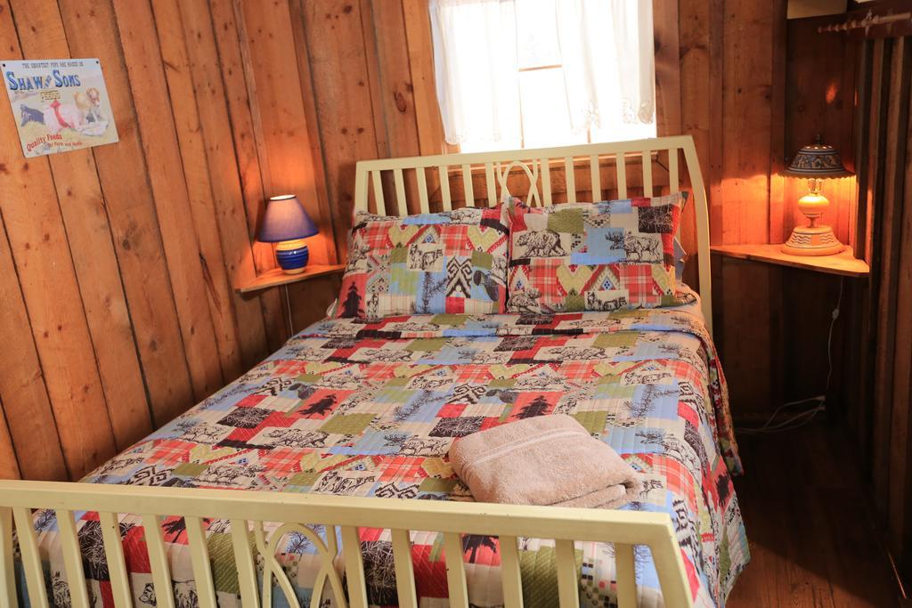 The Cabins At Historic Columbine Clark المظهر الخارجي الصورة